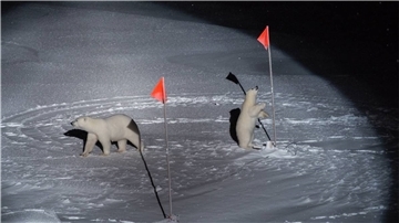 Mit diesem Eisbärenfoto von der Arktis-Expedition „MOSAiC“ hat Esther Horvath den World Press Photo Award in der Kategorie „Umwelt“ gewonnen.