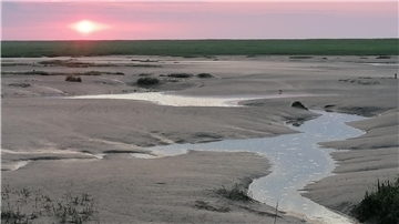 Langwarder Groden