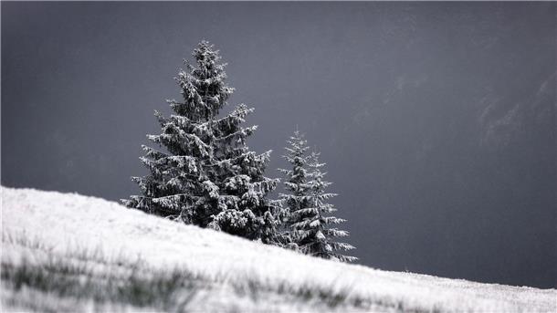 Mit Neuschnee bedeckt ist die Landschaft um den Riedbergpass.