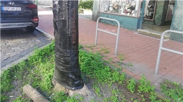 umwickelter Baumstamm