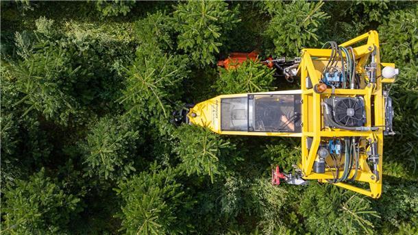 Mit seinem Baumschultraktor fährt Robert Kleinstäuber vom Weihnachtsbaumhandel „een Baum aus Sachsen“ durch eine Plantage mit Nordmanntannen.
