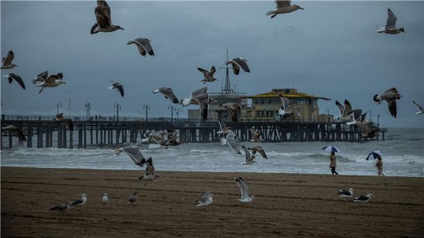 Möwen fliegen neben dem Santa Monica Pier nach heftigen Regenfällen in Kalifornien.