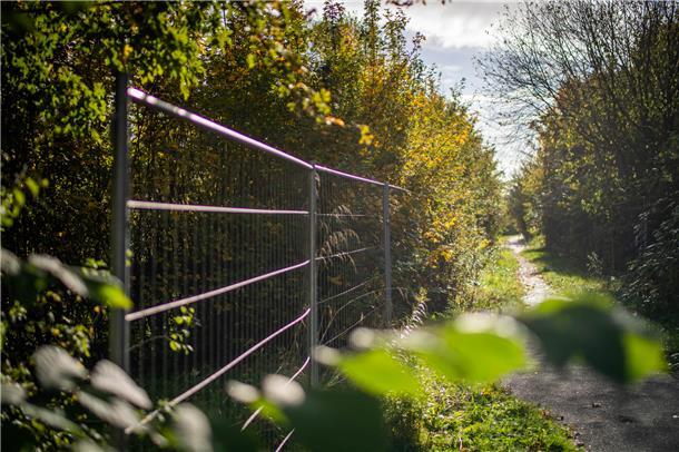 Morbider Charme der nördlichen Spitze der Kleingartenkolonie "Ackmann" in Bremer...