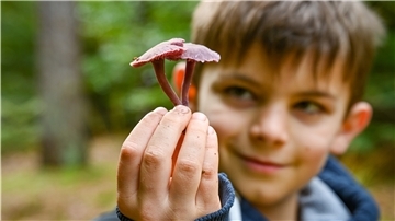 Ein Kind hält einen Pilz hoch.