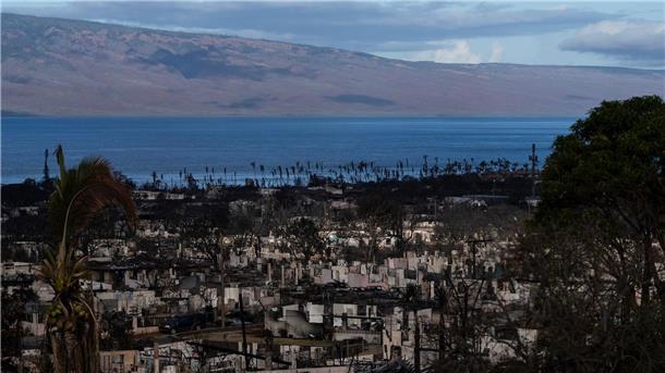 Nach den verheerenden Bränden auf der Insel Maui im US-Bundesstaat Hawaii haben Suchtrupps weitere Leichen in ausgebrannten Gebäuden gefunden.