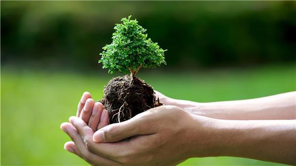 Naturschutzbeauftragte beraten die Politik - werden aber nicht immer gehört.