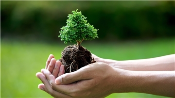Naturschutzbeauftragte beraten die Politik - werden aber nicht immer gehört.
