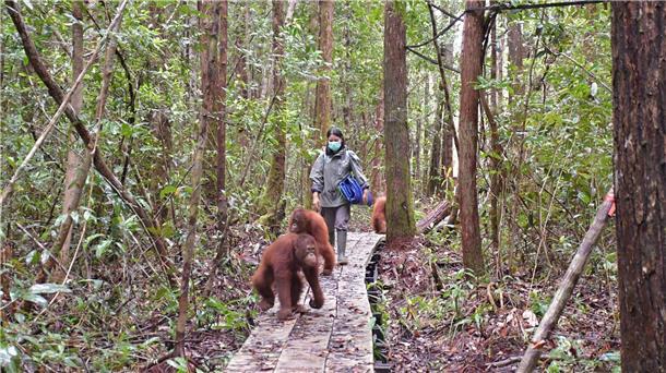 Neugierig erkunden die Waldschüler den Wald im neuen Zentrum.