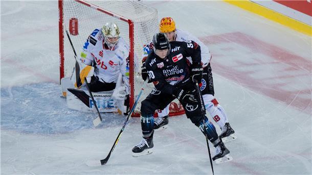 1.500 Fans feiern Pinguins-Sieg im ersten Freiluftspiel Nicholas Jensen hält Kölns Alexander Oberlinger (vorne) vom Pinguins-Tor mit Maximilian Franzreb weg.