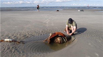 Munition am Strand