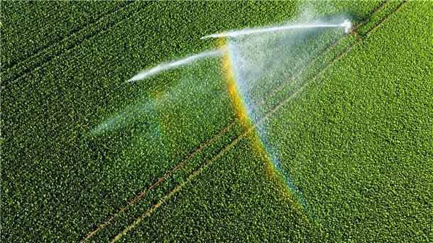 Bauern reagieren auf Trockenheit: Mehr Bewässerung und Soja Nicht einmal fünf Prozent der landwirtschaftlichen Fläche kann bewässert werden.