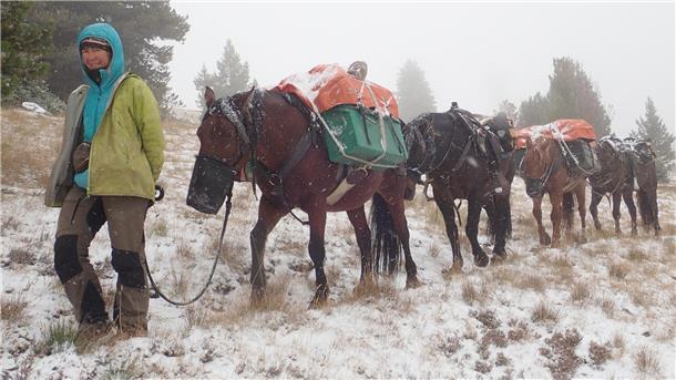 Zwei Abenteurer berichten von ihrem langen Ritt durch den „Wilden Westen“ Eine Frau läuft mit vier Mustangs im Schlepptau bei Schneefall über eine Wiese.