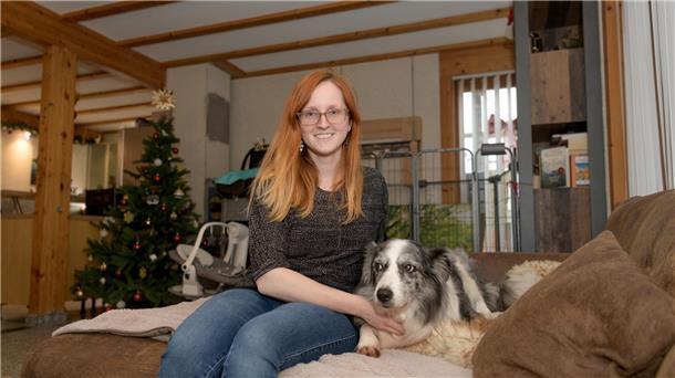 Hundepension