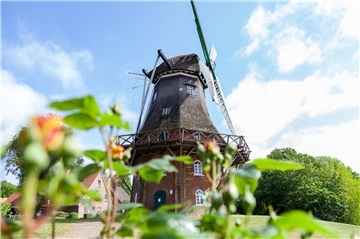 (Nicht nur) Rund um die Midlumer Mühle wird am 30. und 31. August der traditionsreiche Milmer Markt gefeiert.