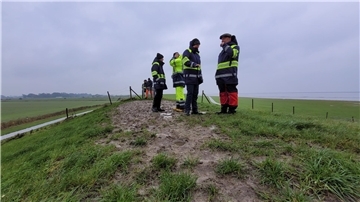Niedergetretenes Gras wie hier auf der Deichkrone zwischen Wremen und Dorum-Neufeld veranlasst die Deichaufsichtsbehörde zur Kritik. Eine dichte Grasnarbe ist essentiell für die Stabilität des Deiches.