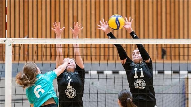 Volleyball
