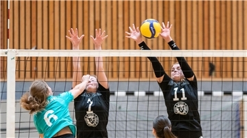Volleyball