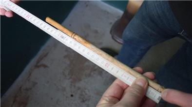 „Noch 14 Zentimeter, dann liegt die Sohle komplett unter dem Wasserspiegel“, sagt Rainer Voigt. Er kontrolliert den Pegel täglich durch ein Loch in der 30 Zentimeter dicken Bodenplatte außerhalb des Kellers.