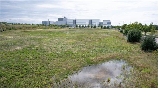 Taiwanischer Chipkonzern TSMC baut Werk in Dresden Noch eine Wiese im Dresdner Stadtteil Klotzsche, im Hintergrund ist die Halbleiterfabrik von Bosch zu sehen.