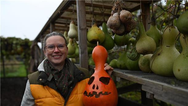 Noch viel Arbeit vor sich: Lampenkünstlerin Virginia Lauterbach mit ihren Flaschenkürbissen.