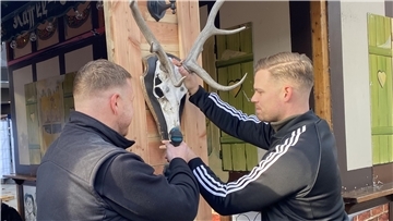 Zwei Männer schrauben ein Hirschgeweih an eine Wand.