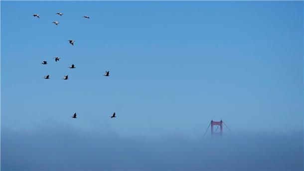 Versteckt im Nebel Nur die Spitze der Golden Gate Bridge kann man noch erkennen.