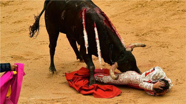 Dutzende Verletzte bei Stierhatzen in Spanien Ob man es mag oder nicht, beim Sanfermín-Fest geht es um den Kampfstier und eine Einzigartigkeit: Man setzt sein Leben aufs Spiel, um das Leben des Tieres zu fordern, msytisch, wild, schön, schreibt die Zeitung „La Vanguardia“.