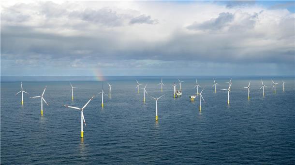 Fischer und Muschelzüchter schlagen Alarm: Wer sichert ihre Zukunft? Der Offshore-Windpark Riffgat rund 15 Kilometer nördlich der Insel Borkum.