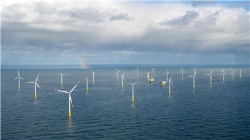 Fischer und Muschelzüchter schlagen Alarm: Wer sichert ihre Zukunft? Der Offshore-Windpark Riffgat rund 15 Kilometer nördlich der Insel Borkum.