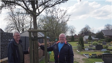 Ortsbürgermeister Thomas Frese (rechts) und sein Stellvertreter Christian Schumacher mit einem der „Problembäume“ auf dem Wehdener Friedhof. 