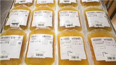 Beutel mit gespendetem Plasma mit Antikörpern gegen das Corona-Virus. 