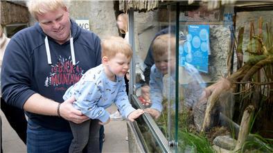 Patrick Schütte und Sohn John-Luca (3) auf der Suche nach der Ringelnatter. Ein Tier, das der Zoo am Meer auswildert.