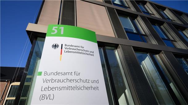 Notfallzulassung: Bundesamt ermöglicht Bekämpfung der Zikade Per Notfallzulassung hat das Bundesamt für Verbraucherschutz und Lebensmittelsicherheit (BVL) die Bekämpfung der Schilf-Glasflügelzikade mit Pflanzenschutzmittel ermöglicht.