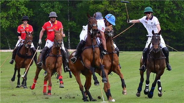 Pferde und Reiter müssen beim Polo hohe Konzentration zeigen, um im Wettkampf zu bestehen.