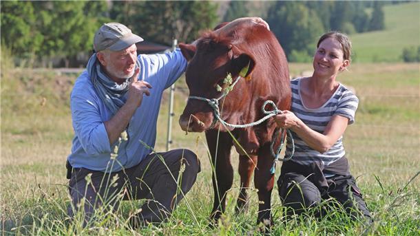 Kühe sanft antreiben Philipp Wenz zeigt Landwirtinnen und Landwirten, wie man Rinder ruhig führt.