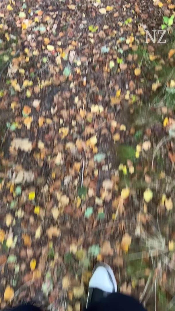 5 Tipps für tolle Herbstspaziergänge