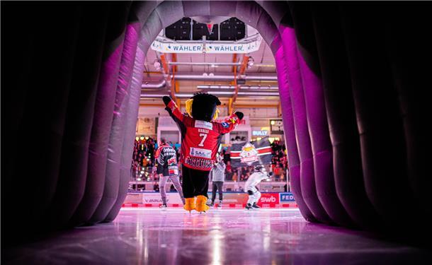 Pinguins-Maskottchen Kralli fährt auf die Eisfläche ein.