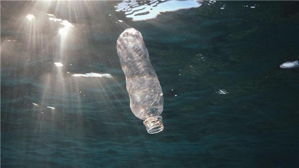 Scheitern am Plastikmüll Plastikmüll landet auch im Meer.