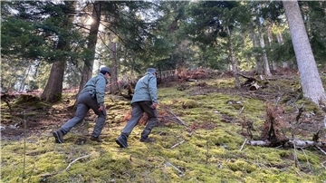 Polizeibeamte gehen durch den Wald vor einem mit Flatterband abgesperrten Bereich.  In Norditalien ist ein Jogger möglicherweise von einem Bären angegriffen und getötet worden.