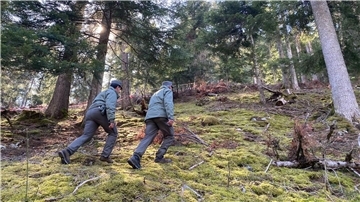 Polizeibeamte im Wald im norditalienischen Caldes, wo ein Jogger von einem Bären angegriffen und getötet worden ist.