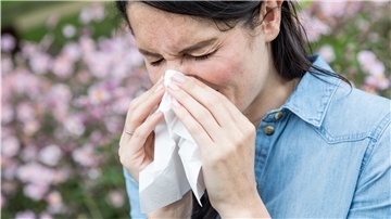 Pollenallergiker und Menschen mit allergischem Asthma sind aufgrund der Corona-Lage besonders belastet. 