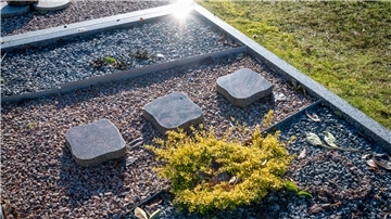 Schottergräber gibt es auch auf dem Friedhof in Midlum. Aus den unterschiedlichsten Gründen wählen Menschen diese vergleichsweise pflegeleichte Art der Grabgestaltung.