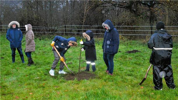 Schüler pflanzen Obstbäume alter Sorten nahe der Seeparkschule Debstedt