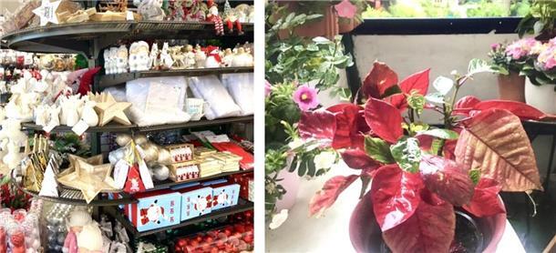 Pudelwohl fühlt sich der Christstern vom vorigen Weihnachtsfest im ewig feuchtwarmen Balkonien in Bremerhaven. Und auch im Deko-Laden die Ecke herum bersten Anfang August die Regale vor Accessoires - steht Advent schon ante portas?