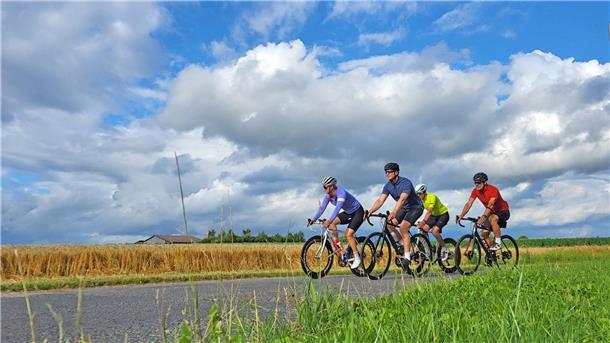 Vier Radrennfahrer auf asphaltierter Strecke neben einem Getreidefeld