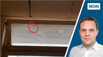 Rätselhafter Tatzen-Abdruck auf der Fensterscheibe des Verlagsgebäudes in Lehe. 