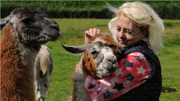 Ranch-Besitzerin Manuela Seebach hat ihre Lamas zum Kuscheln gerne. Begonnen hat alles vor 18 Jahren, als sie das erste Lama zu sich holte.