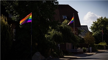Regenbogenfahnen wehen in einer Straße in Wahrenholz.