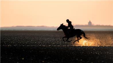 Reiten im Wattenmeer Cuxhaven