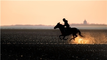 Reiten im Wattenmeer Cuxhaven